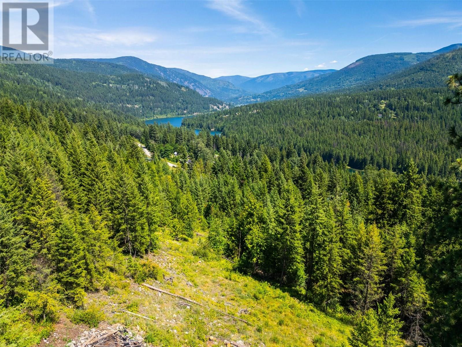 4583 Falls Creek Road, Nelson, British Columbia  V0G 2G2 - Photo 19 - 10356029