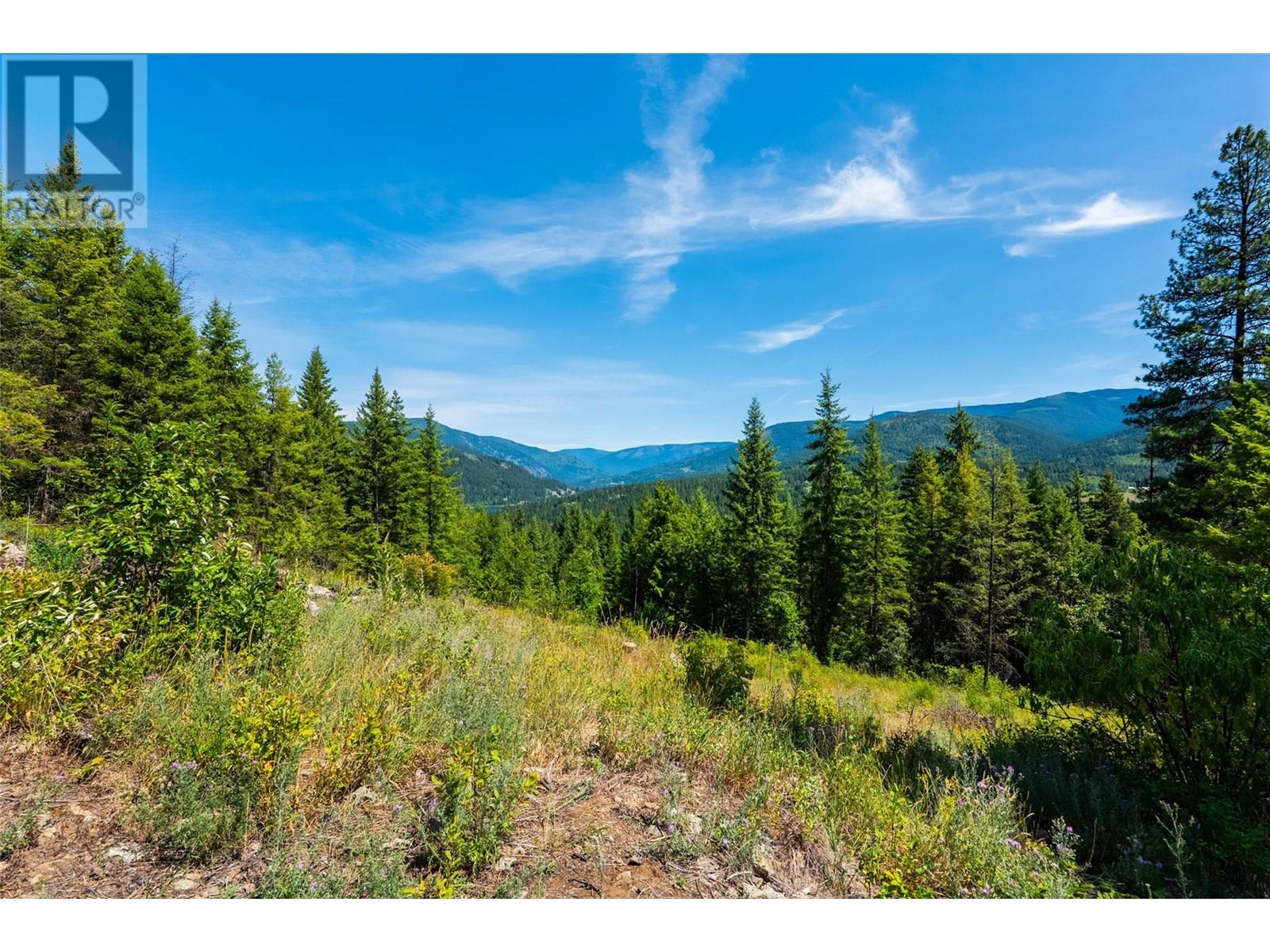 4583 Falls Creek Road, Nelson, British Columbia  V0G 2G2 - Photo 5 - 10356029