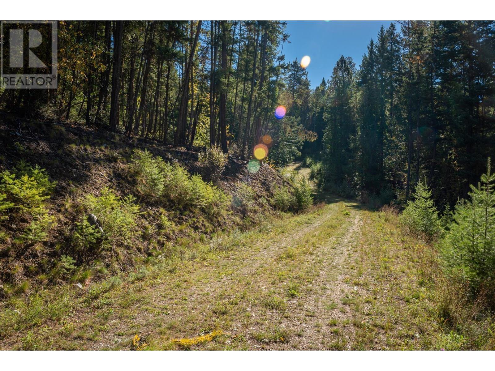 1399 Purcell Lane, Argenta, British Columbia  V0G 1A0 - Photo 16 - 10355978