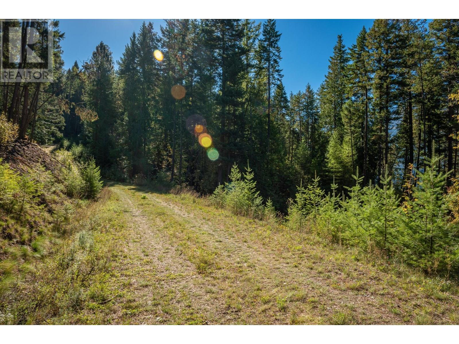 1399 Purcell Lane, Argenta, British Columbia  V0G 1A0 - Photo 18 - 10355978