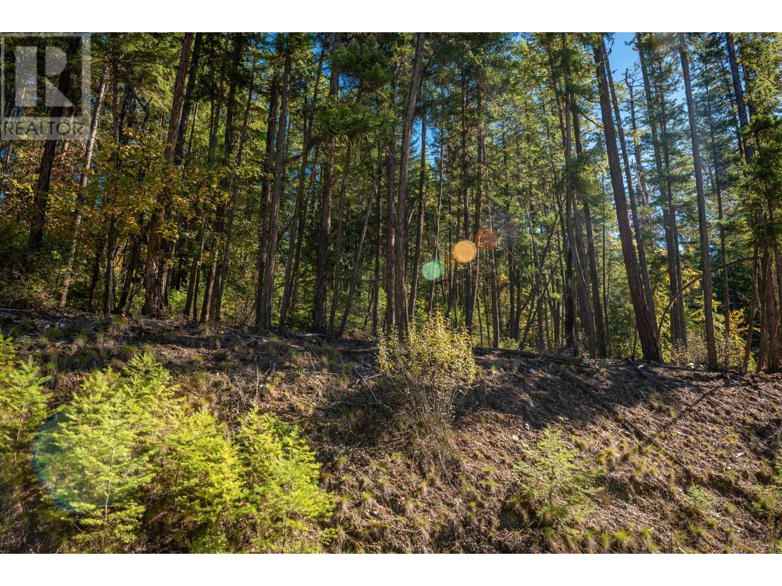 1399 Purcell Lane, Argenta, British Columbia  V0G 1A0 - Photo 21 - 10355978