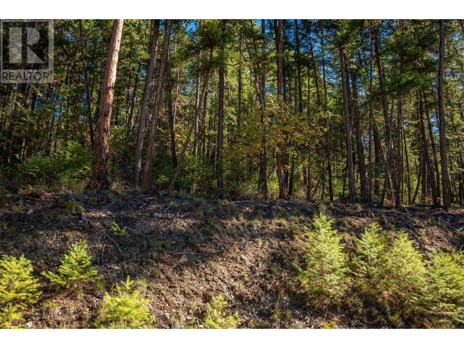 1399 Purcell Lane, Argenta, British Columbia  V0G 1A0 - Photo 22 - 10355978