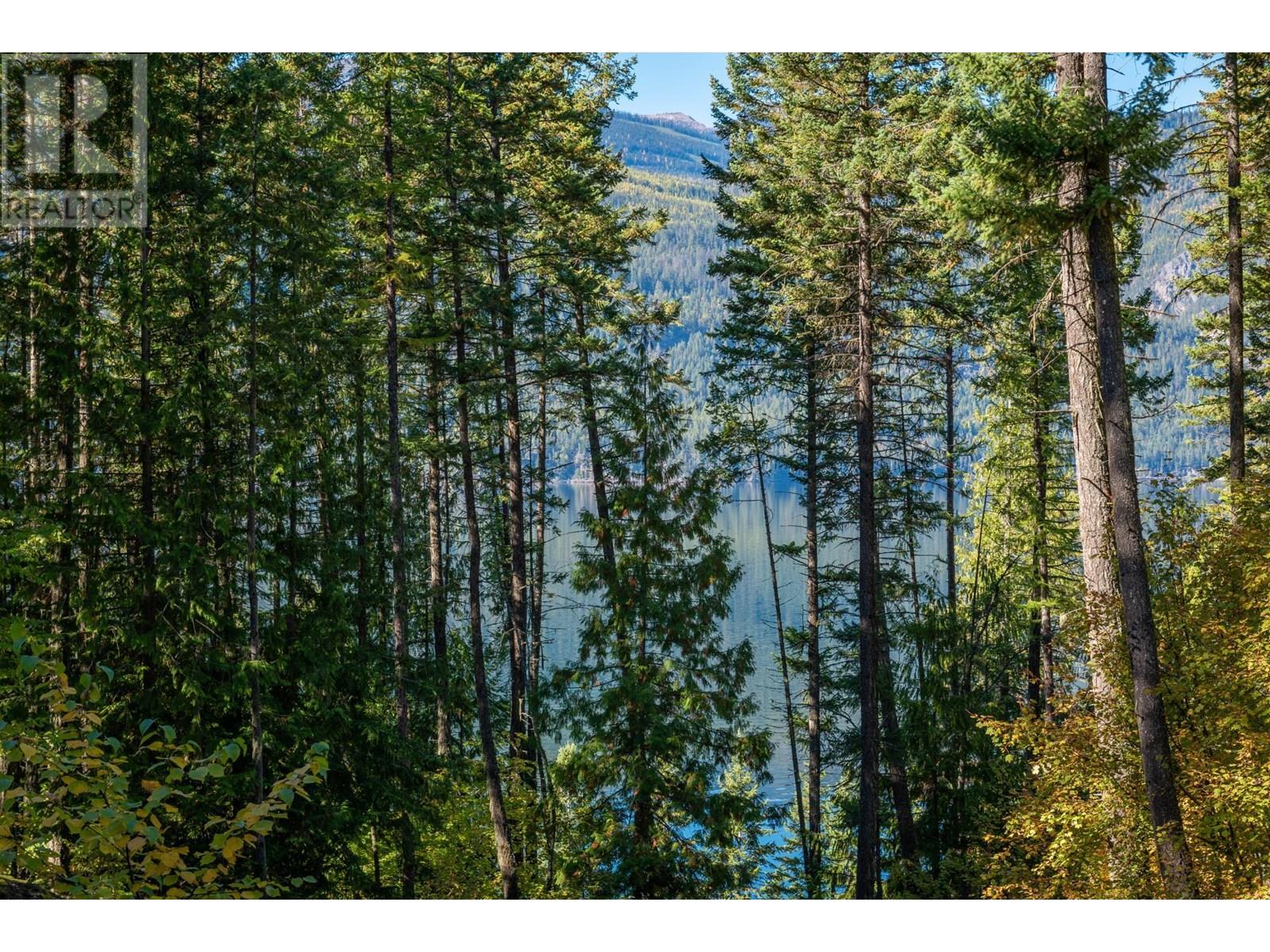 1399 Purcell Lane, Argenta, British Columbia  V0G 1A0 - Photo 23 - 10355978