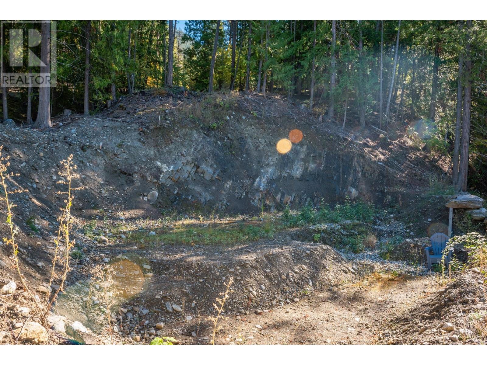 1399 Purcell Lane, Argenta, British Columbia  V0G 1A0 - Photo 29 - 10355978