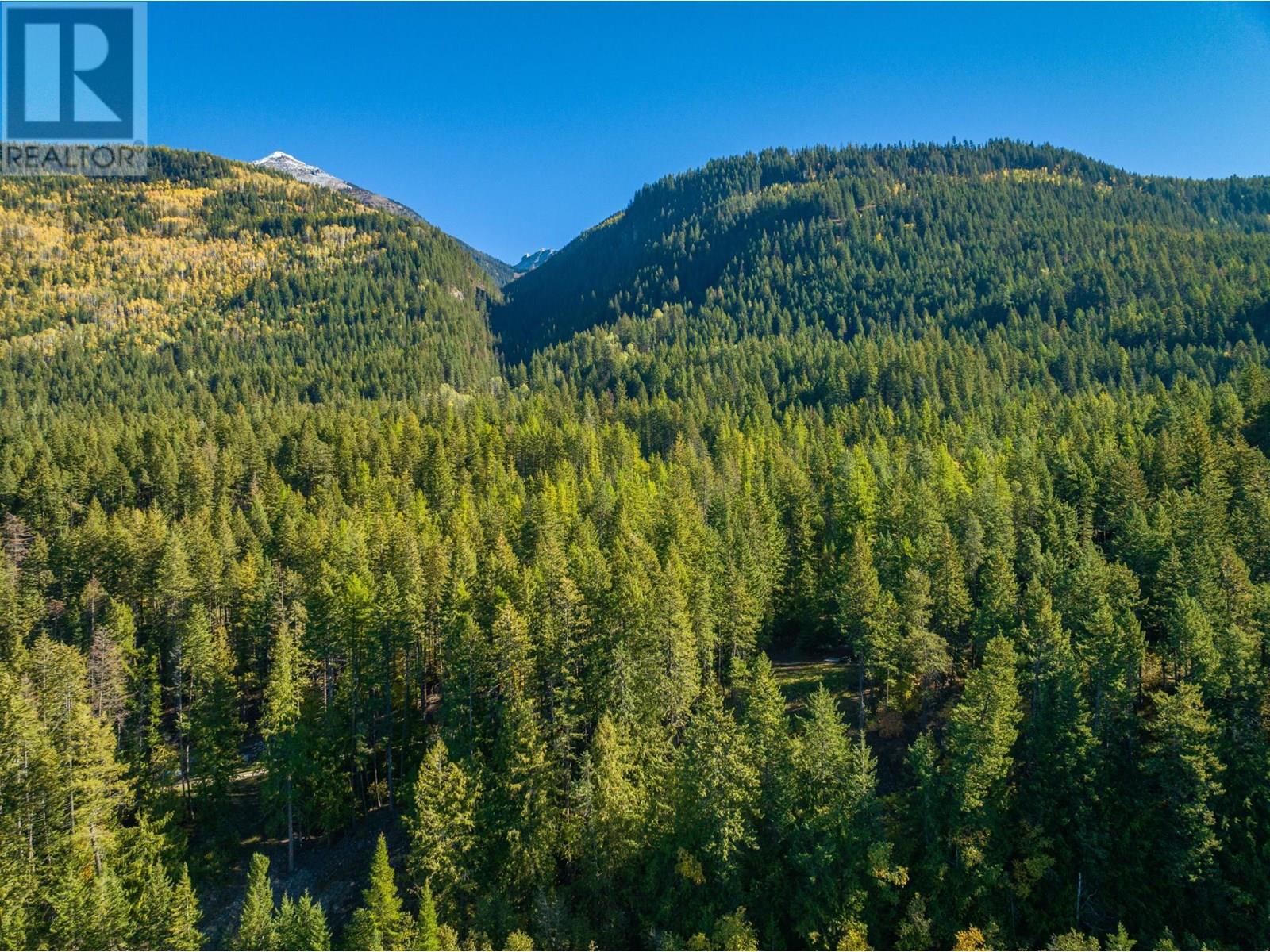 1399 Purcell Lane, Argenta, British Columbia  V0G 1A0 - Photo 7 - 10355978