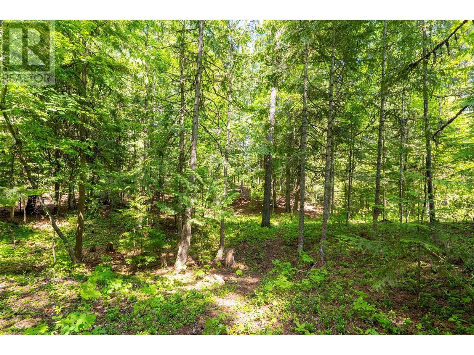 3675 Thompson Road, Bonnington Falls, British Columbia  V0G 2G3 - Photo 59 - 10350788