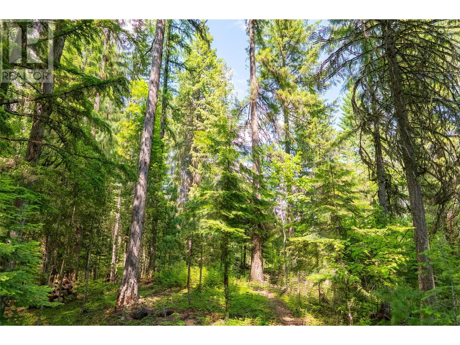 3675 Thompson Road, Bonnington Falls, British Columbia  V0G 2G3 - Photo 60 - 10350788