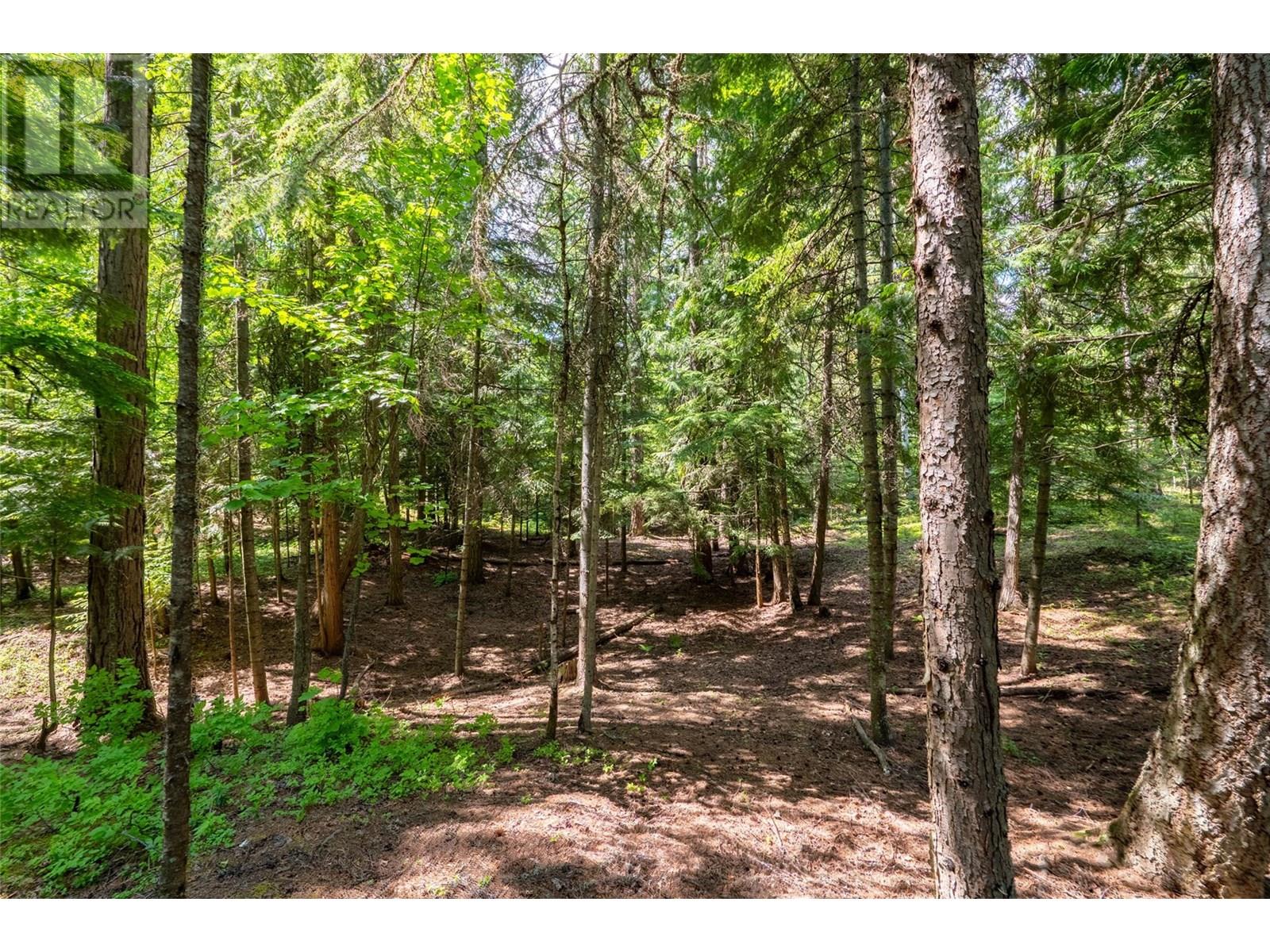 3675 Thompson Road, Bonnington Falls, British Columbia  V0G 2G3 - Photo 62 - 10350788