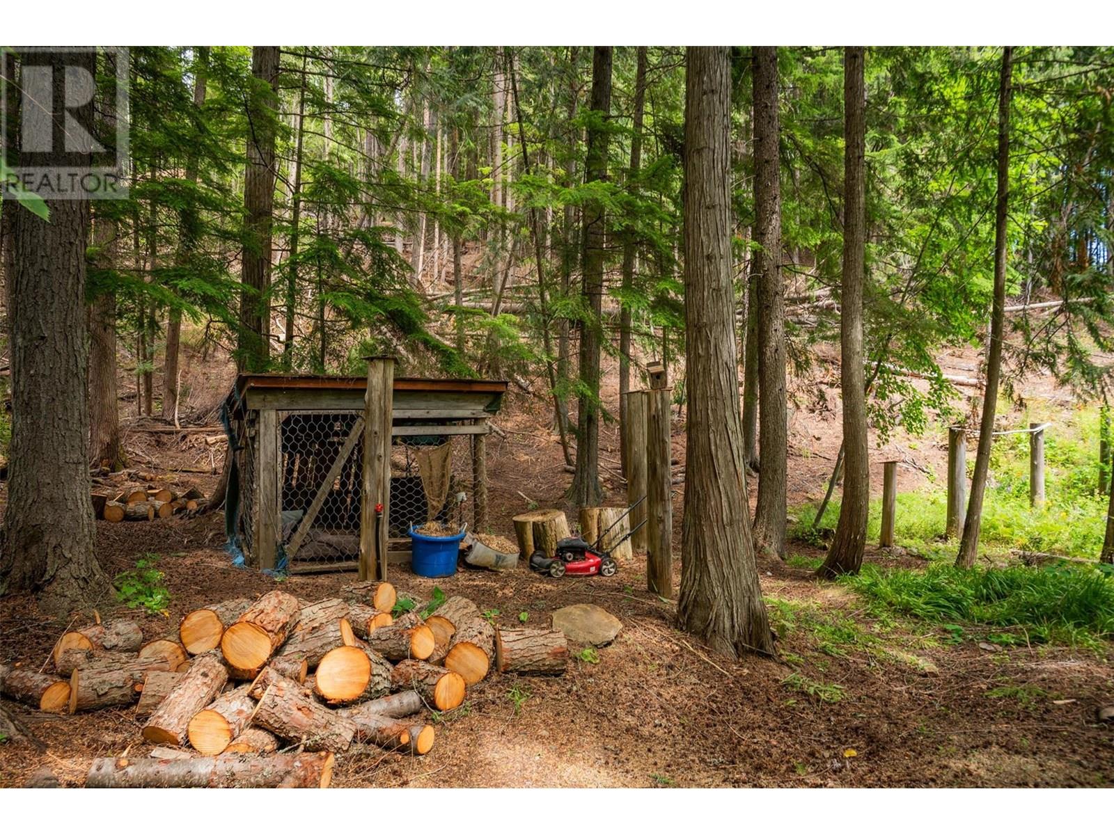 1116 C Avenue, Kaslo, British Columbia  V0G 1M0 - Photo 18 - 10355962