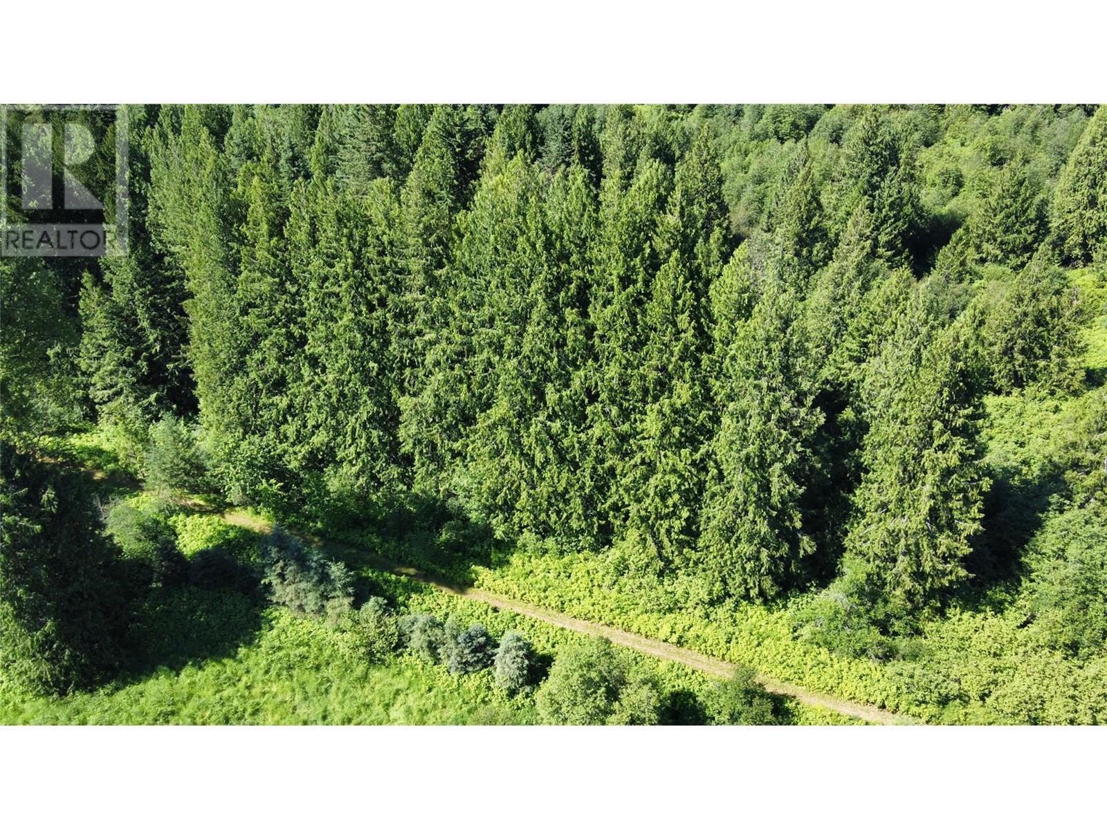 106 Baldwin Road, Hills, British Columbia  V0G 1S1 - Photo 24 - 10357047