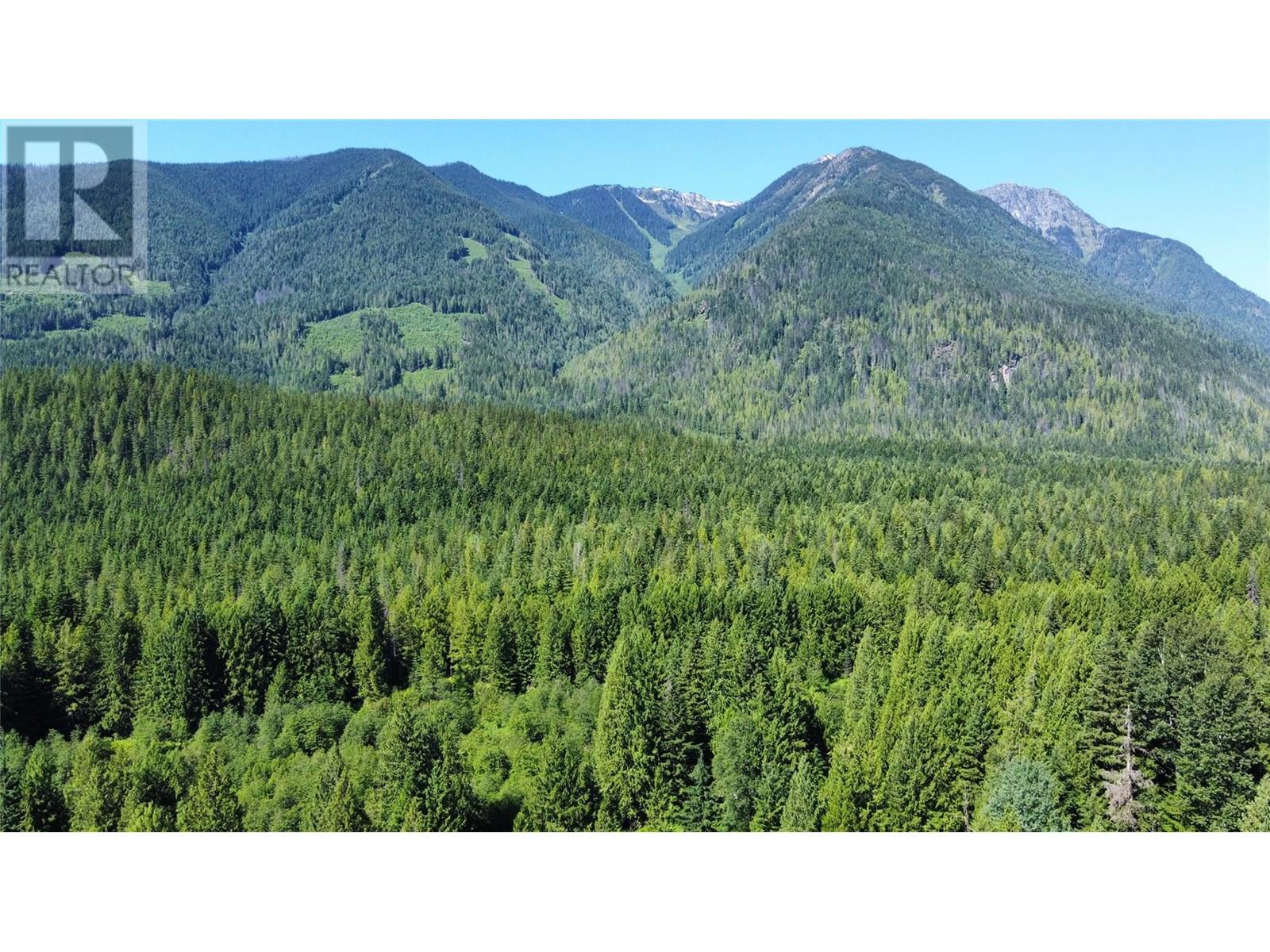 106 Baldwin Road, Hills, British Columbia  V0G 1S1 - Photo 25 - 10357047