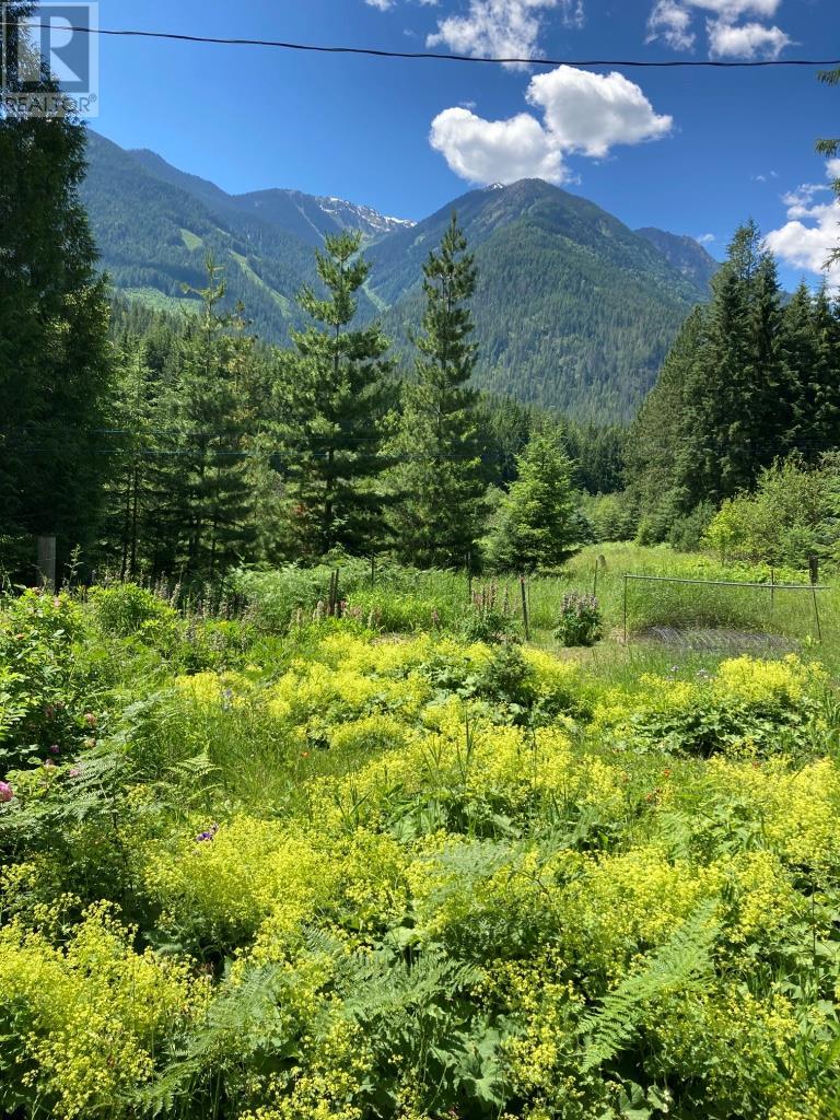 106 Baldwin Road, Hills, British Columbia  V0G 1S1 - Photo 32 - 10357047