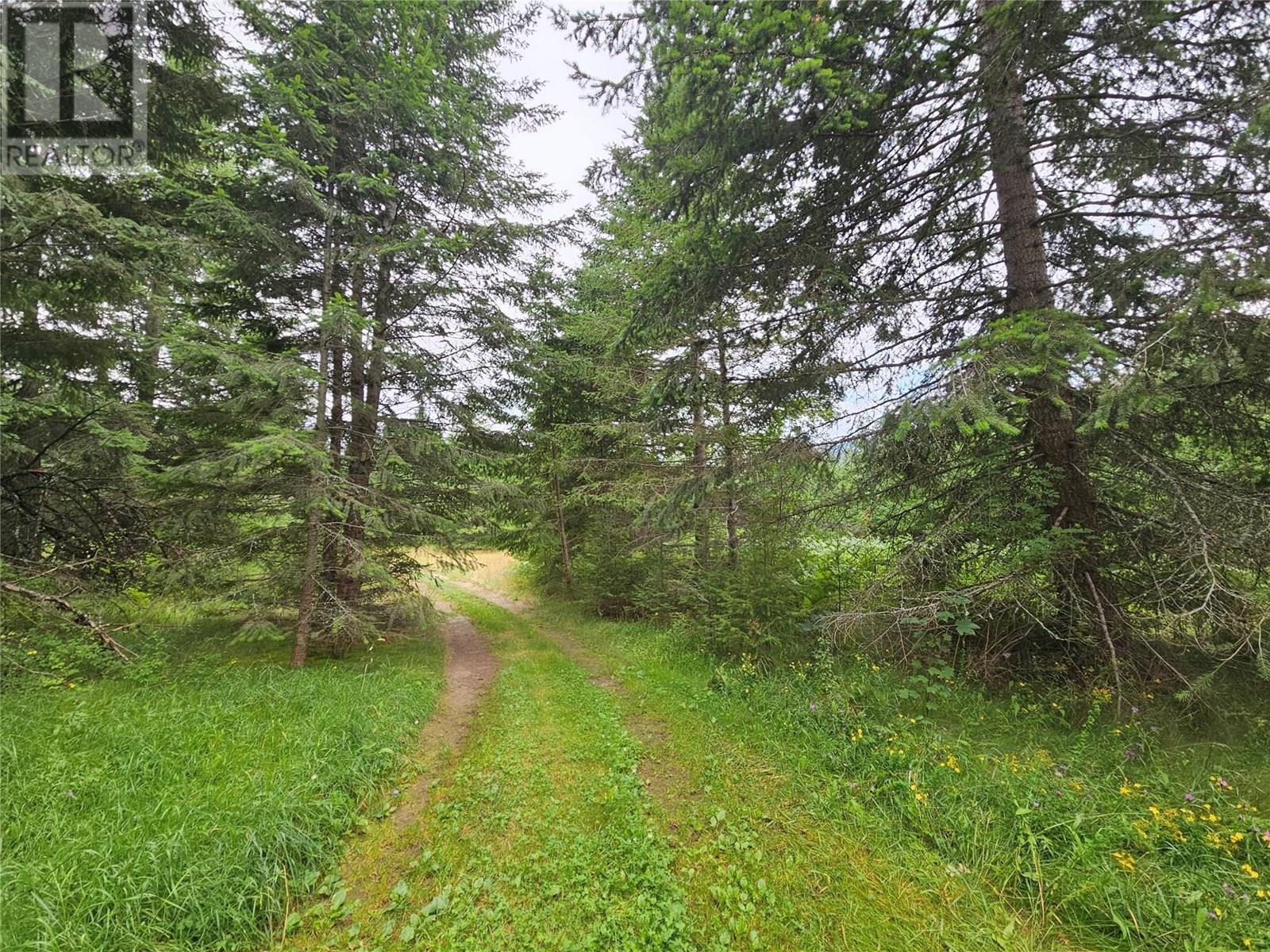 130 Lower Fauquier Road, Fauquier, British Columbia  V0G 1K0 - Photo 2 - 10357029
