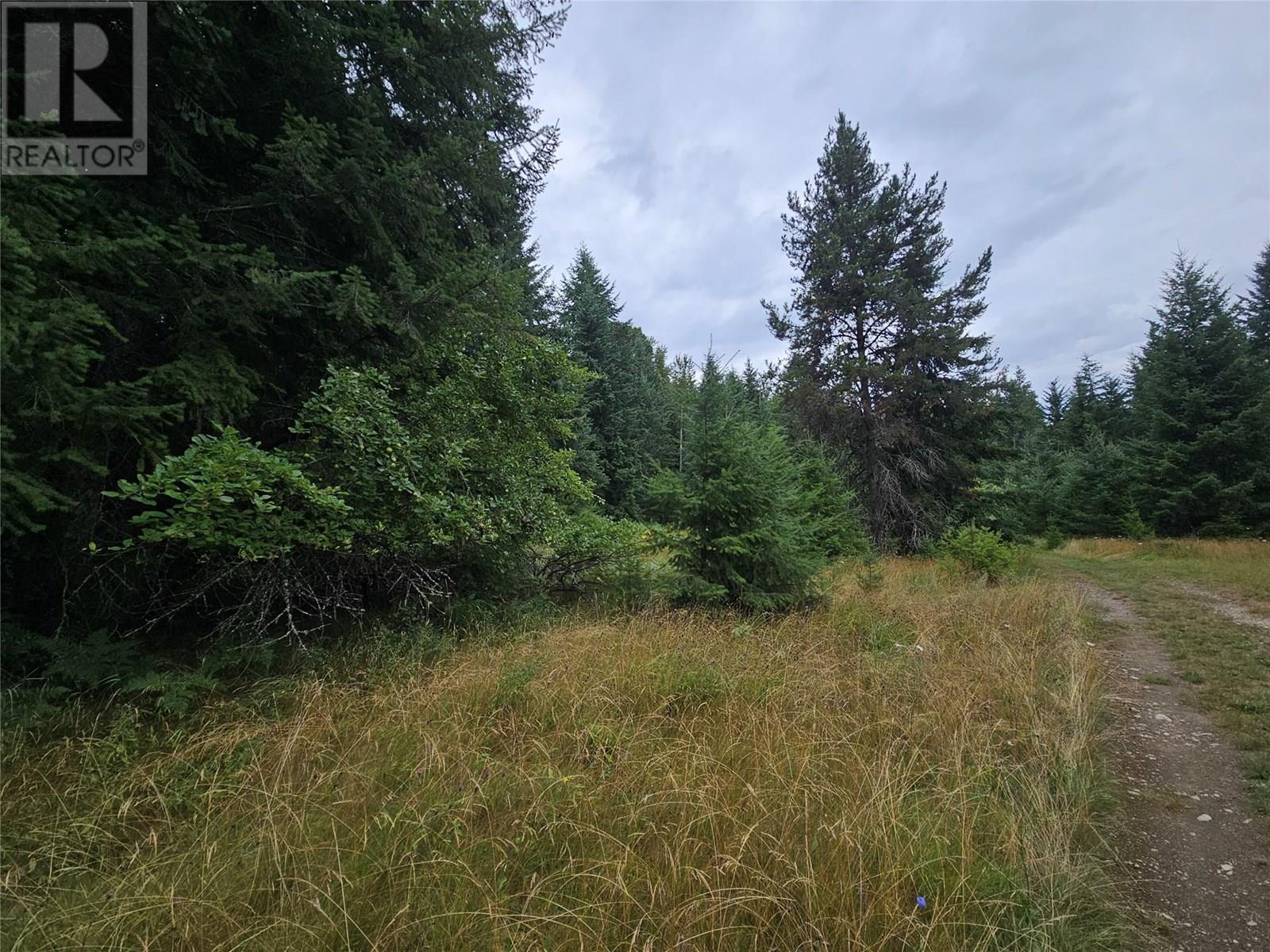 130 Lower Fauquier Road, Fauquier, British Columbia  V0G 1K0 - Photo 3 - 10357029
