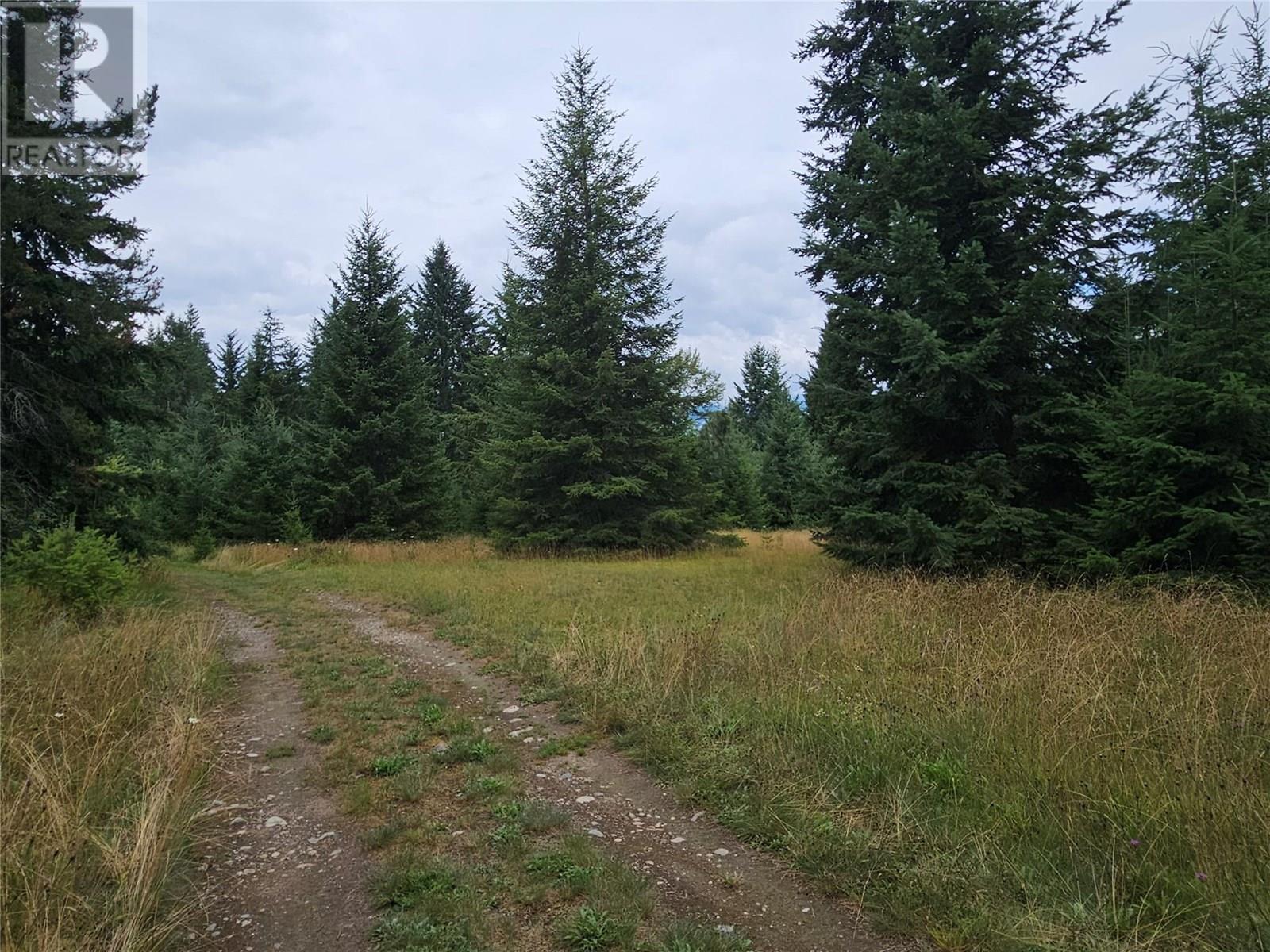 130 Lower Fauquier Road, Fauquier, British Columbia  V0G 1K0 - Photo 5 - 10357029