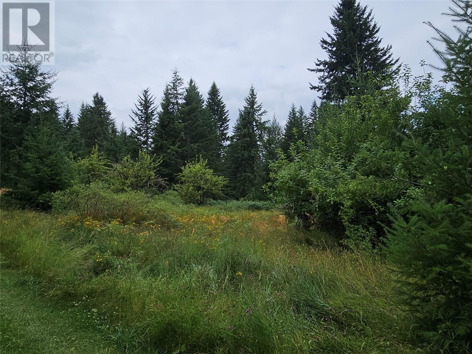 130 Lower Fauquier Road, Fauquier, British Columbia  V0G 1K0 - Photo 6 - 10357029