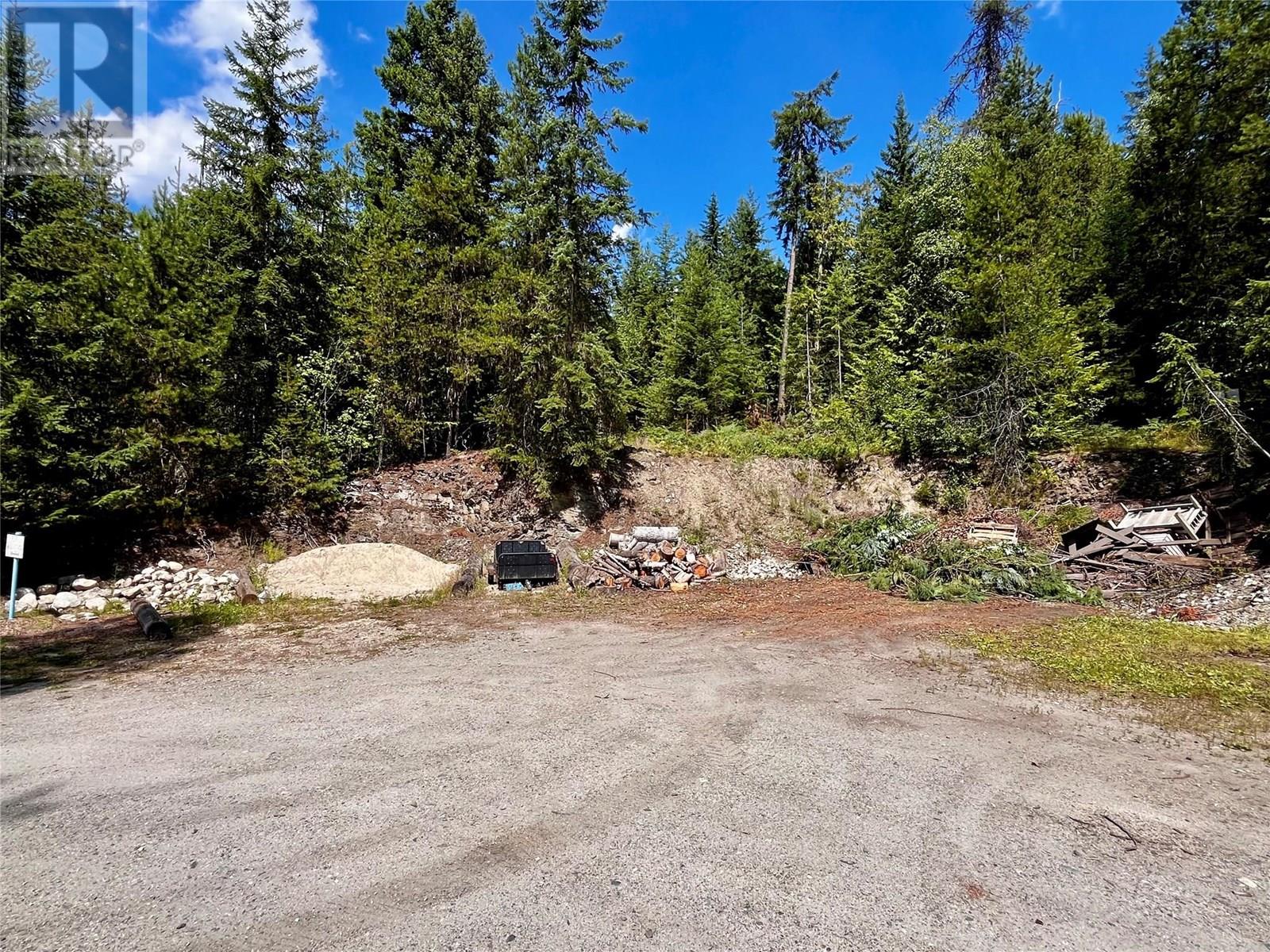 1701 Highway 23 Highway, Nakusp, British Columbia  V0G 1R0 - Photo 94 - 10356699