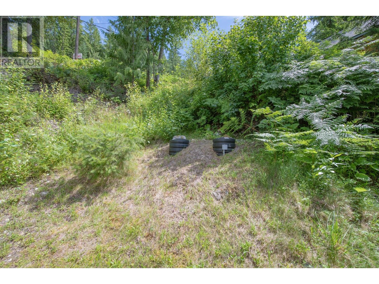 1710 Highway 6 Road, Nakusp, British Columbia  V0G 1R1 - Photo 68 - 10357882