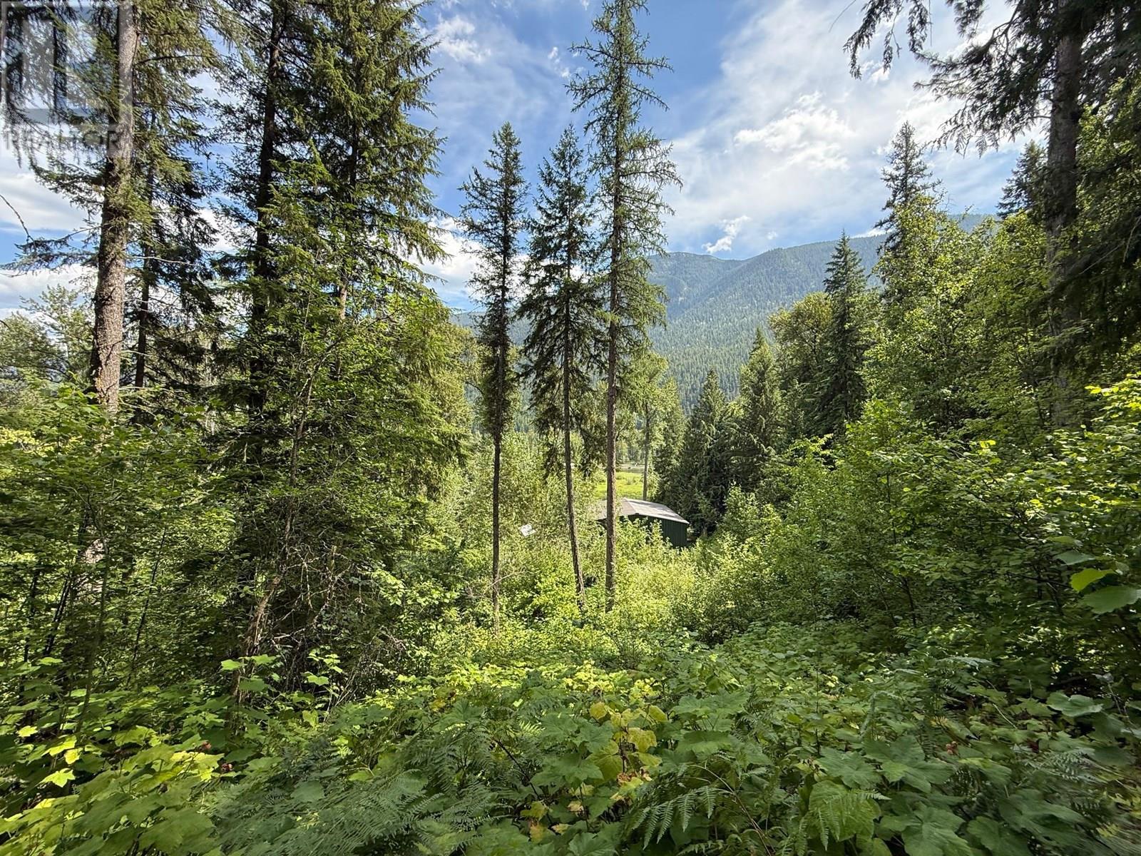 4640 Slocan River Road, Winlaw, British Columbia  V0G 2J0 - Photo 22 - 10358126