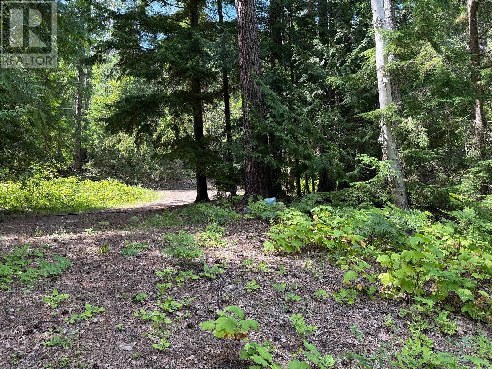 4640 Slocan River Road, Winlaw, British Columbia  V0G 2J0 - Photo 23 - 10358126