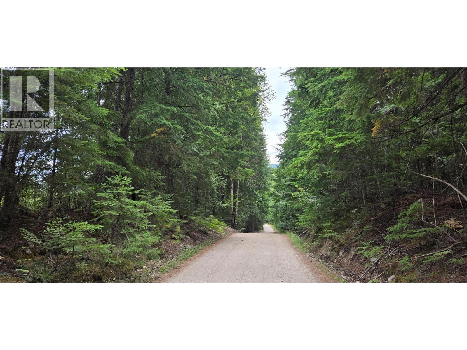 4560 6 Highway, Winlaw, British Columbia  V0G 2J0 - Photo 6 - 10358238