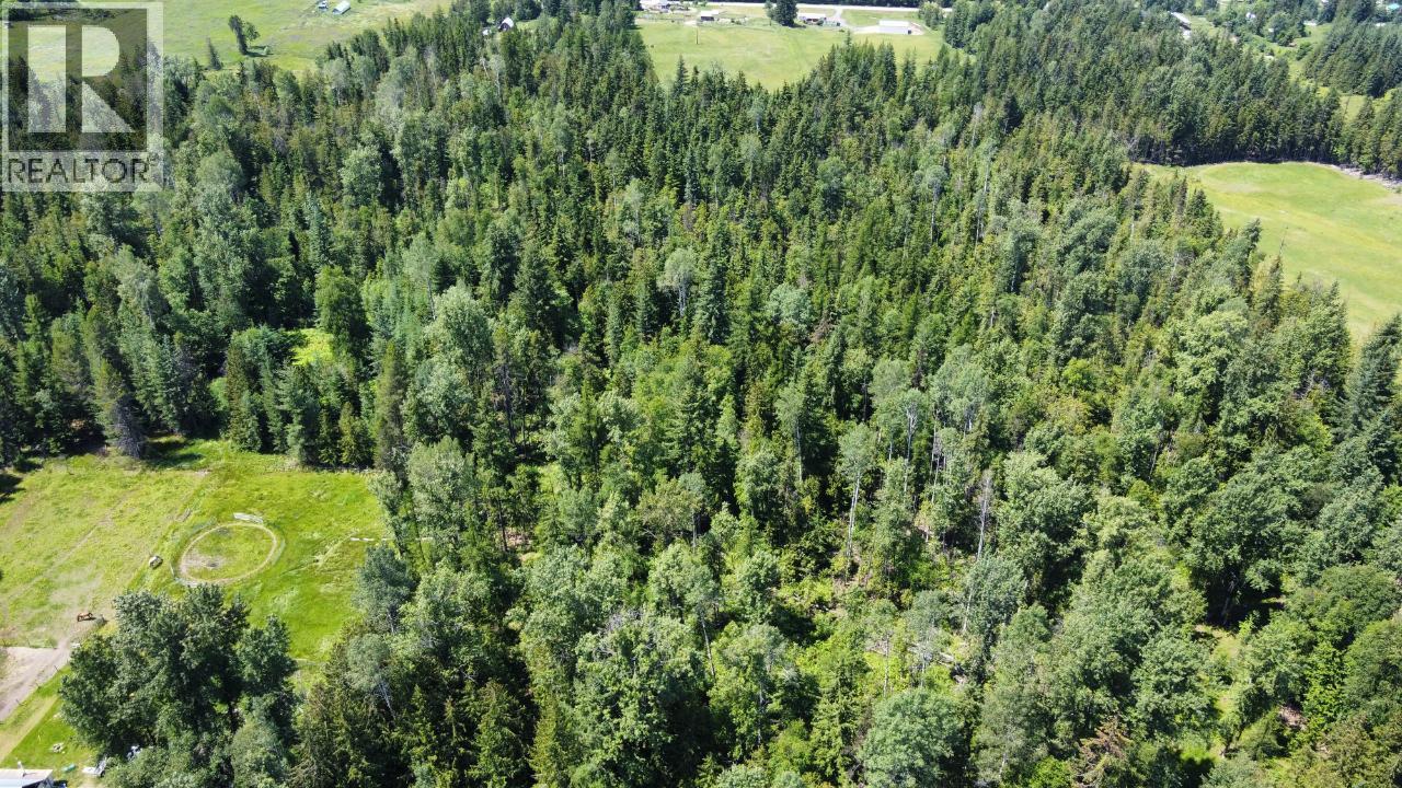 432 Alexander Road, Nakusp, British Columbia  V0G 1R1 - Photo 21 - 10358342