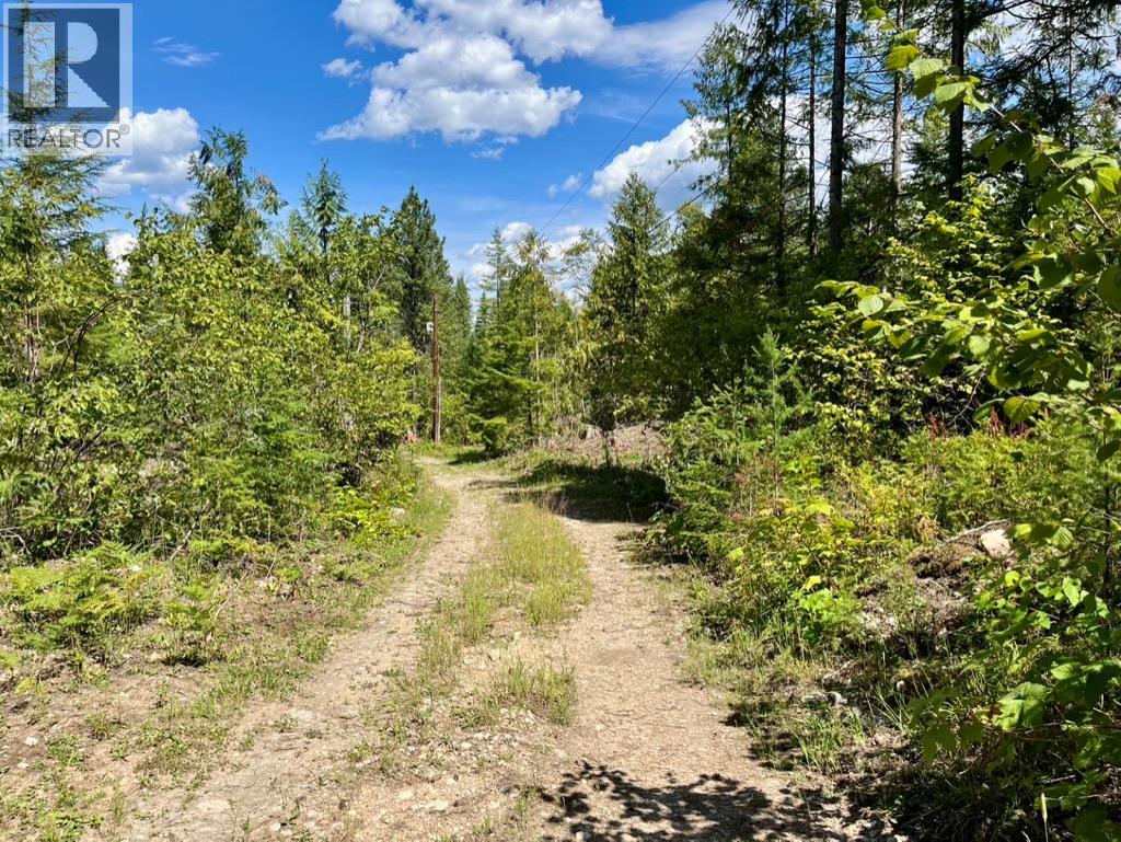 5940 Cedar Creek Road, Winlaw, British Columbia  V0G 2J0 - Photo 33 - 10358431