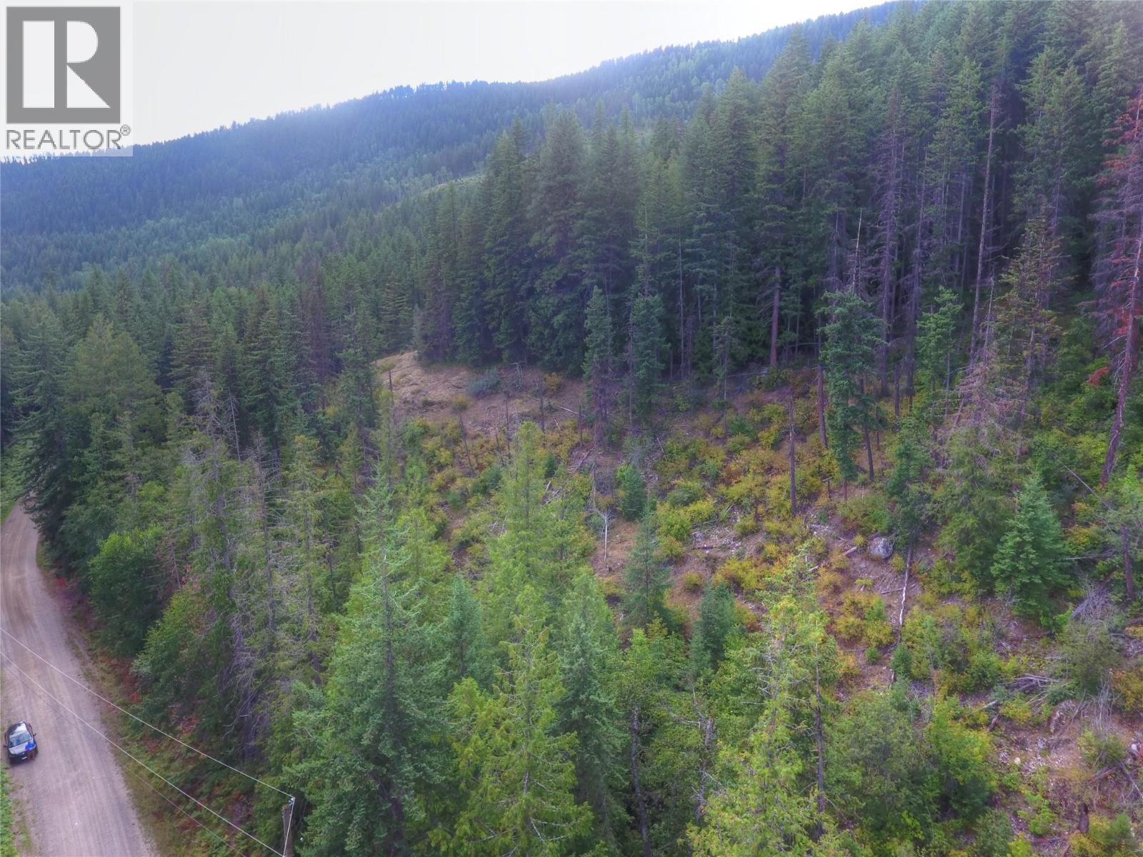 Needles North Road Lot# 1, Needles, British Columbia  V0G 1K0 - Photo 2 - 10358628