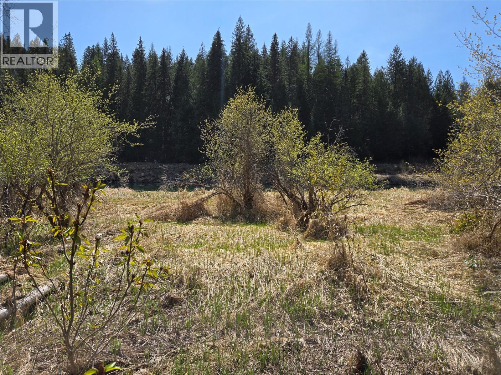 6268 Picard Road, Appledale, British Columbia  V0G 2J0 - Photo 25 - 10358538