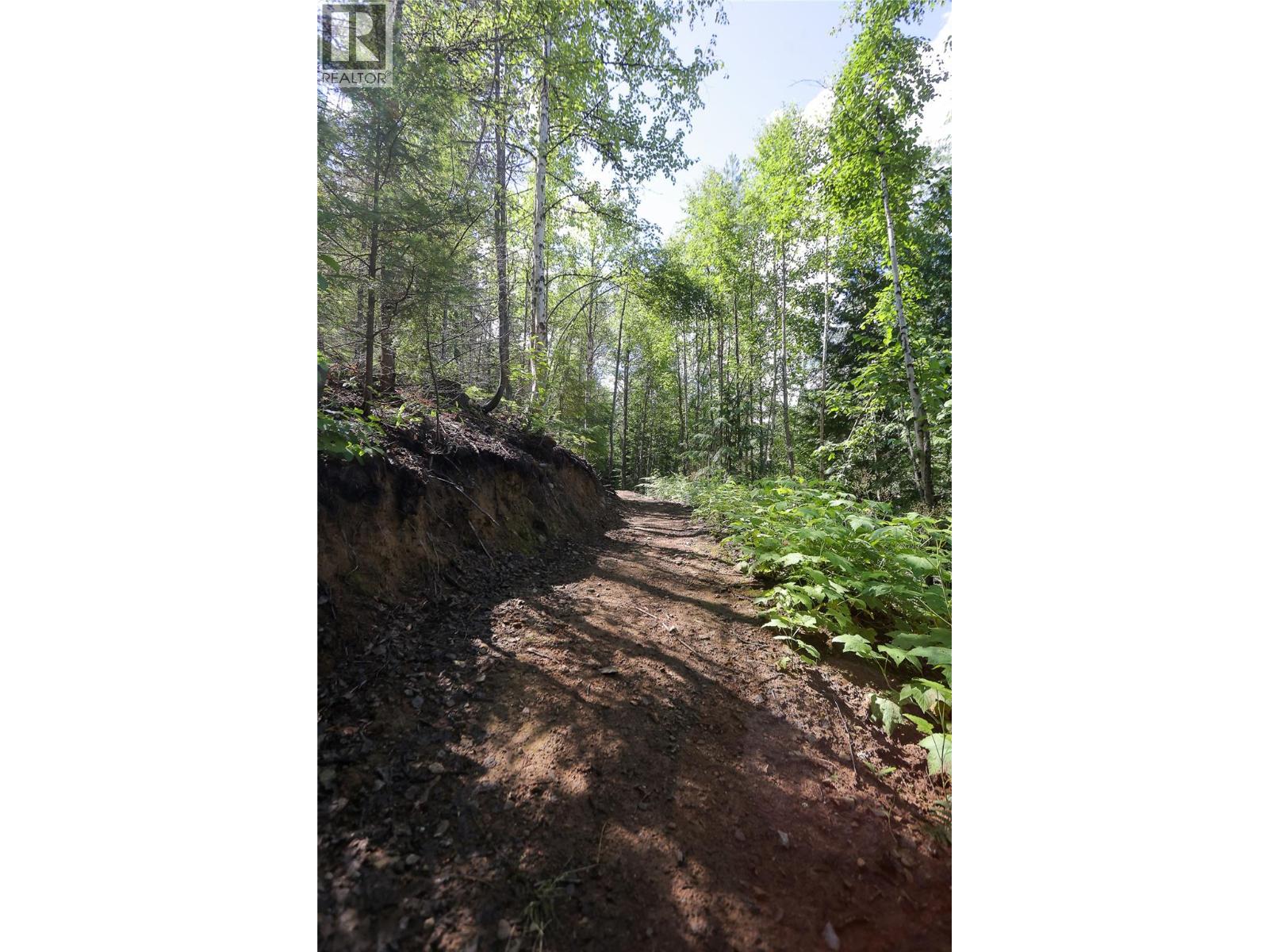 300 Richie Road, Rossland, British Columbia  V0G 1Y0 - Photo 19 - 10358505