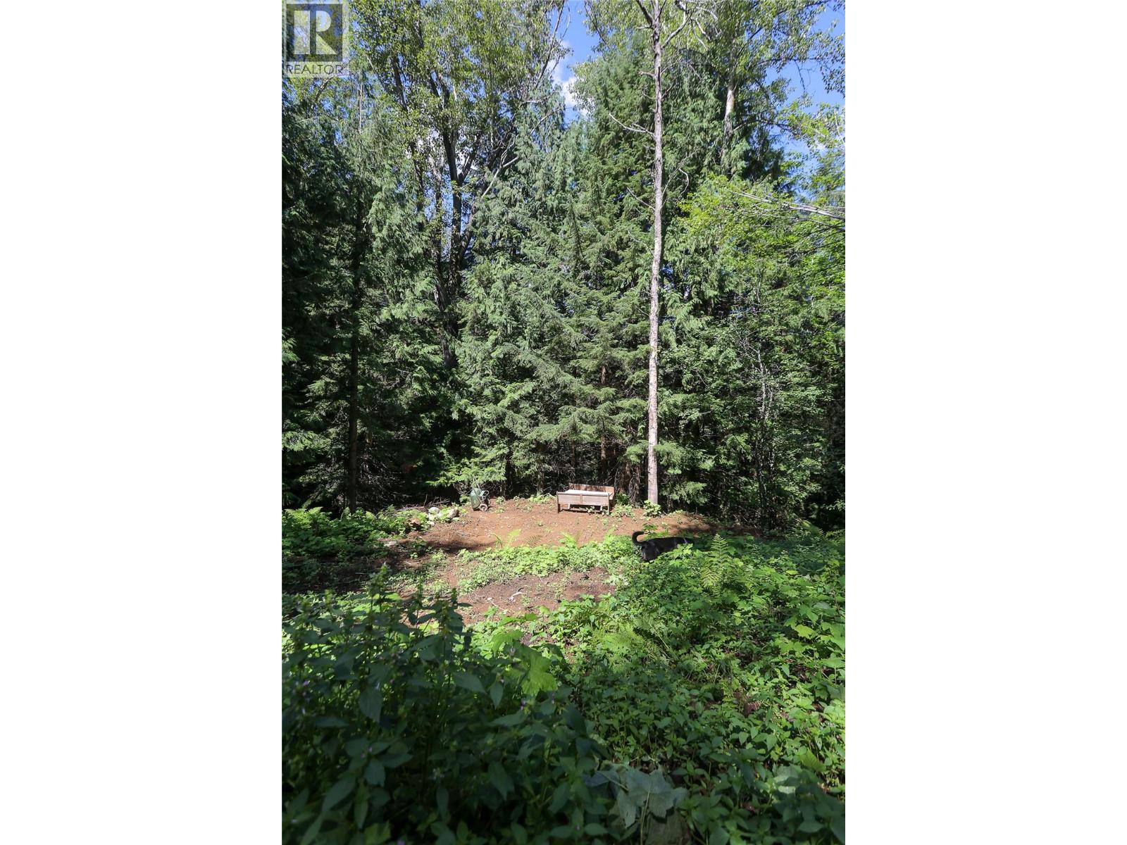 300 Richie Road, Rossland, British Columbia  V0G 1Y0 - Photo 20 - 10358505