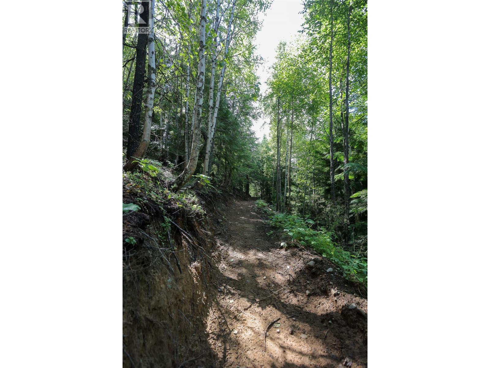 300 Richie Road, Rossland, British Columbia  V0G 1Y0 - Photo 21 - 10358505