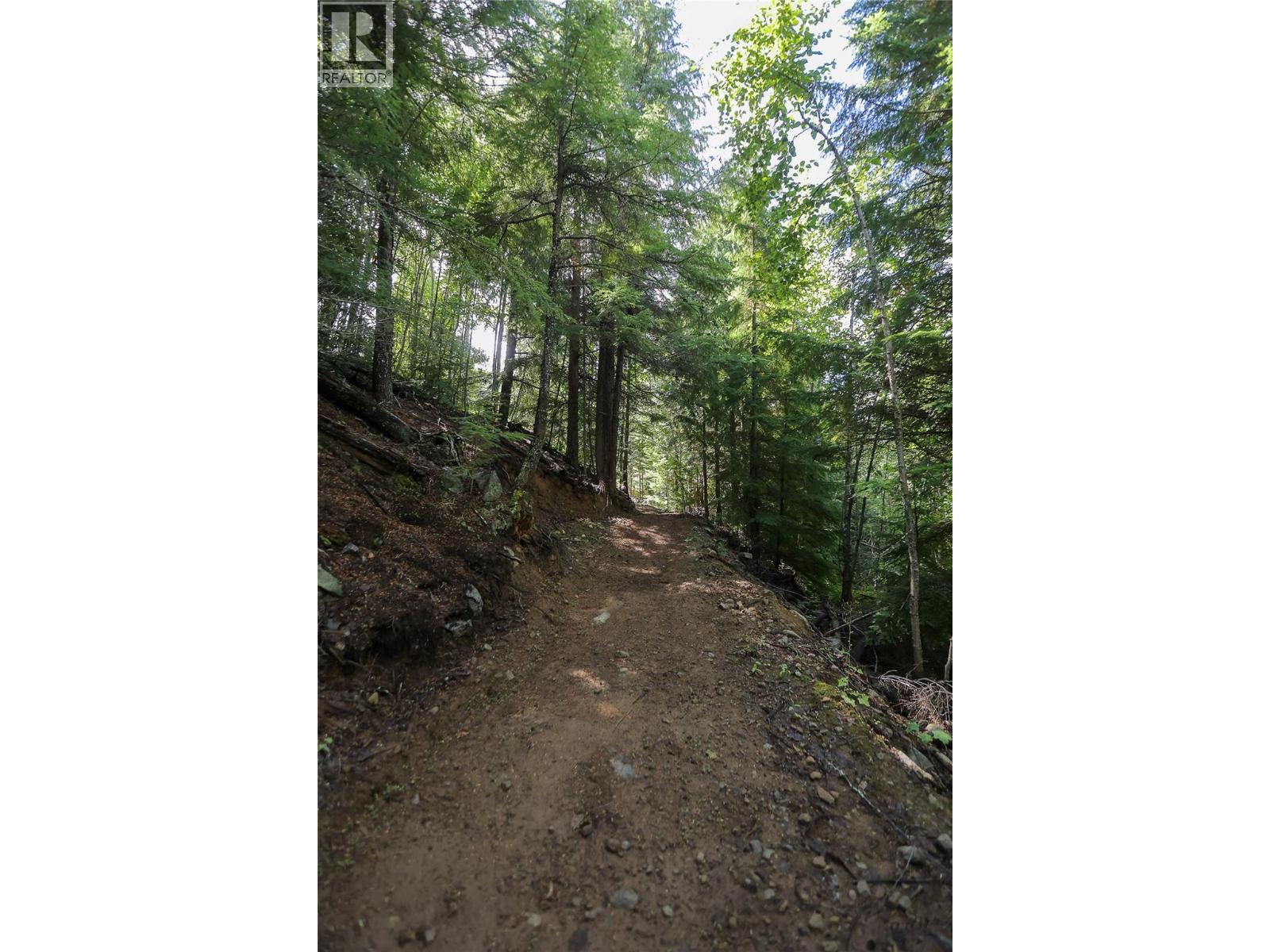 300 Richie Road, Rossland, British Columbia  V0G 1Y0 - Photo 61 - 10358505