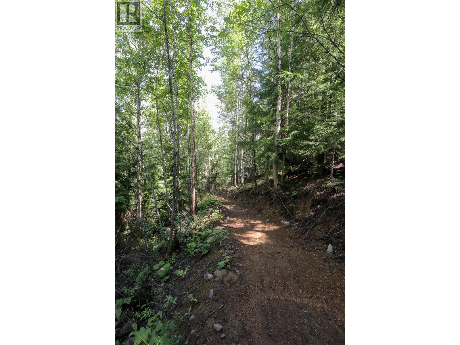 300 Richie Road, Rossland, British Columbia  V0G 1Y0 - Photo 67 - 10358505