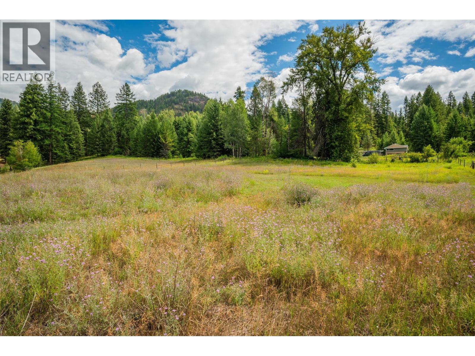 2004 Old Salmo Road, Fruitvale, British Columbia  V0G 1L1 - Photo 76 - 10358878