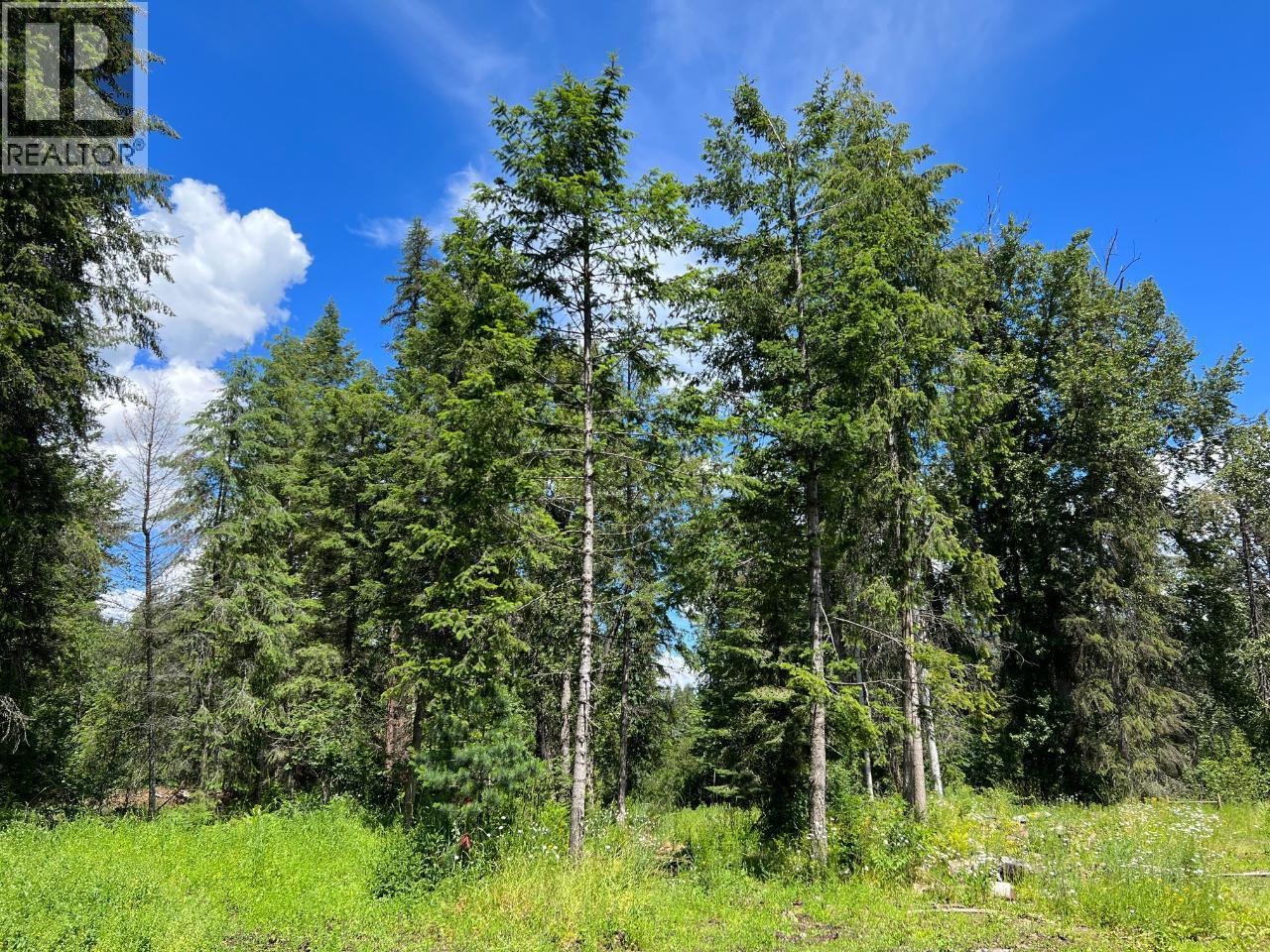 Lot A Bluebird Road, Fruitvale, British Columbia  V0G 1L1 - Photo 15 - 10359163