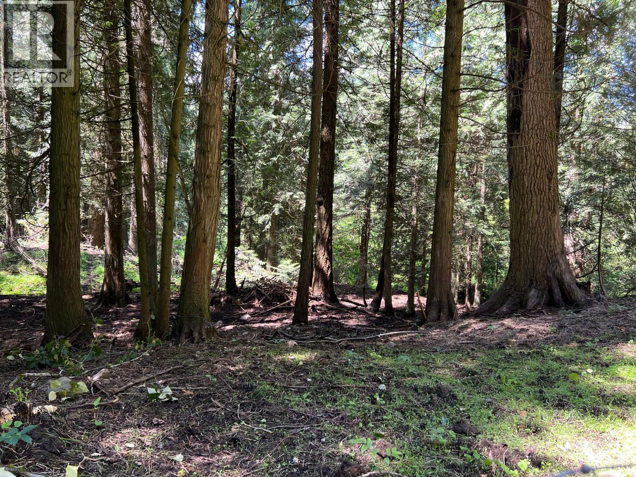 Lot A Bluebird Road, Fruitvale, British Columbia  V0G 1L1 - Photo 5 - 10359163