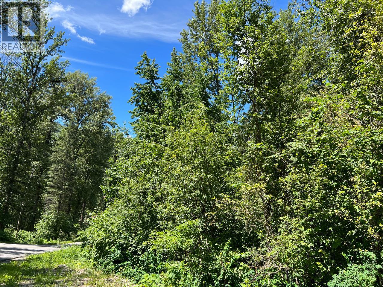 Lot A Bluebird Road, Fruitvale, British Columbia  V0G 1L1 - Photo 7 - 10359163