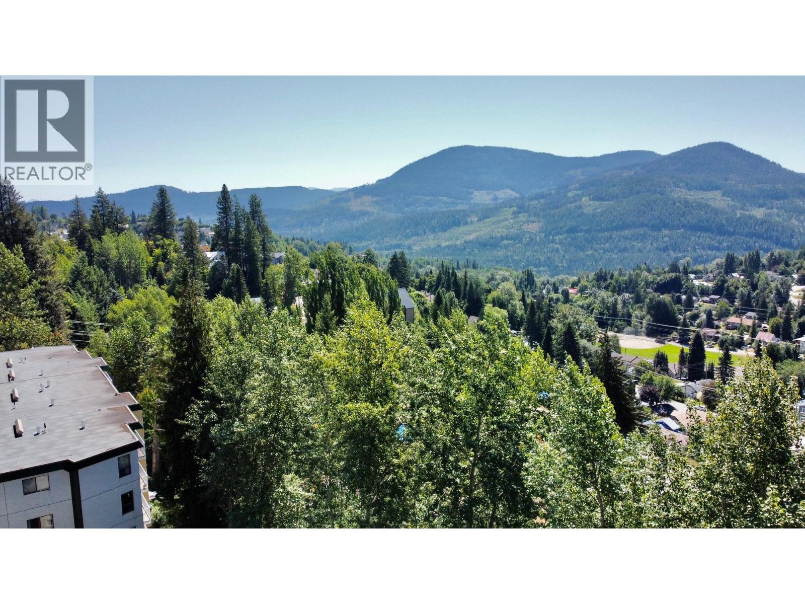 1611 Nickleplate Road Unit# 206, Rossland, British Columbia  V0G 1Y0 - Photo 2 - 10358891