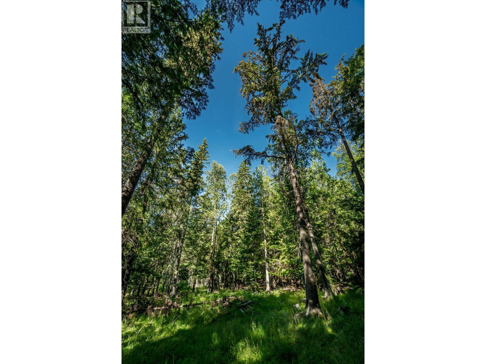 277 Meadow Creek Road, Meadow Creek, British Columbia  V0G 1N0 - Photo 46 - 10360013