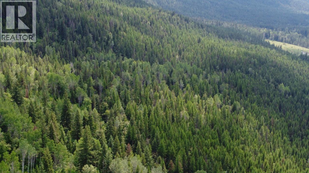 549 Rosebud Lake Road, Salmo, British Columbia  V0G 1Z0 - Photo 13 - 10359946