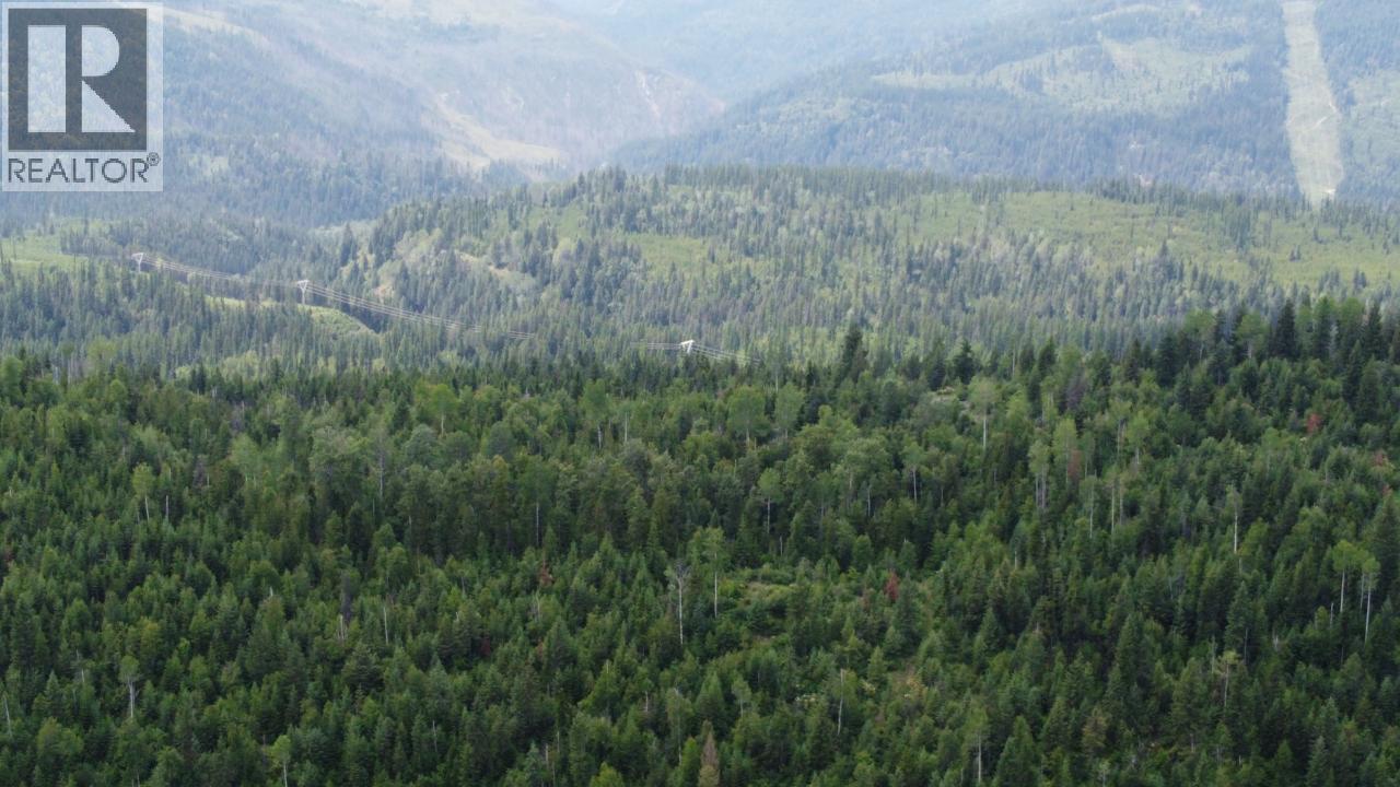 549 Rosebud Lake Road, Salmo, British Columbia  V0G 1Z0 - Photo 14 - 10359946