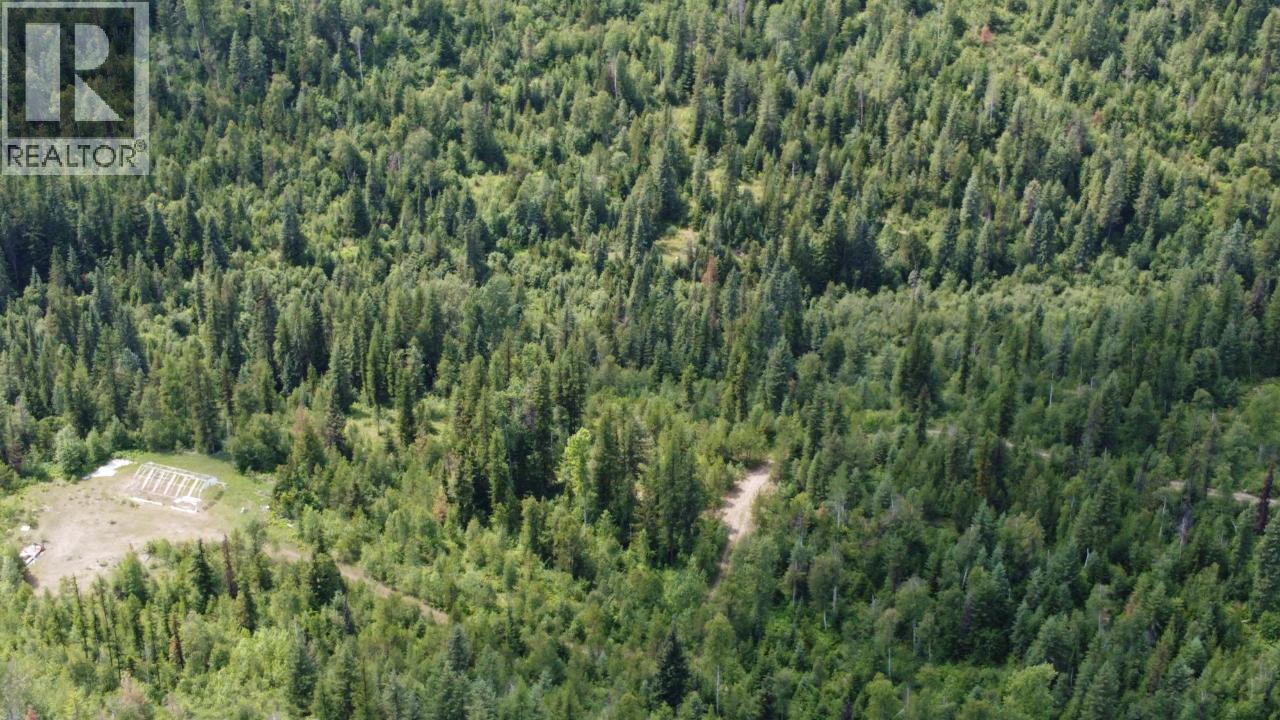 549 Rosebud Lake Road, Salmo, British Columbia  V0G 1Z0 - Photo 16 - 10359946