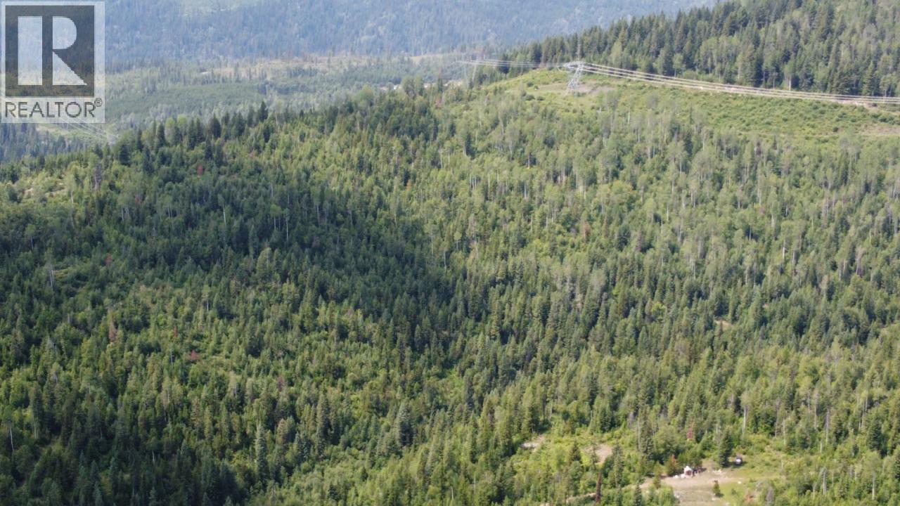 549 Rosebud Lake Road, Salmo, British Columbia  V0G 1Z0 - Photo 17 - 10359946