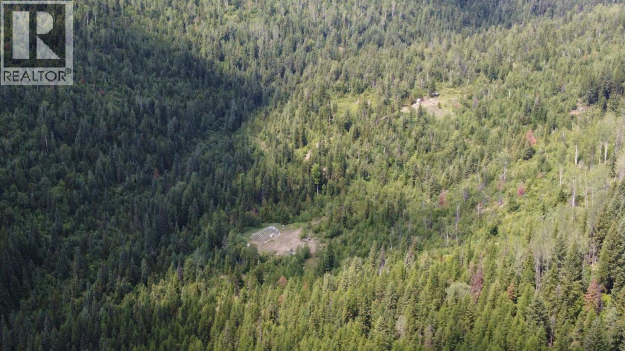 549 Rosebud Lake Road, Salmo, British Columbia  V0G 1Z0 - Photo 18 - 10359946