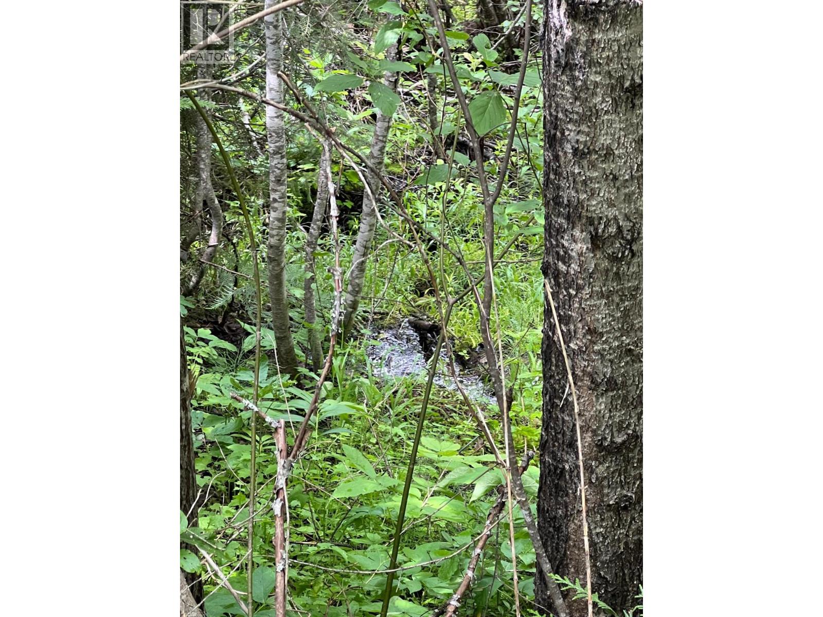 549 Rosebud Lake Road, Salmo, British Columbia  V0G 1Z0 - Photo 20 - 10359946