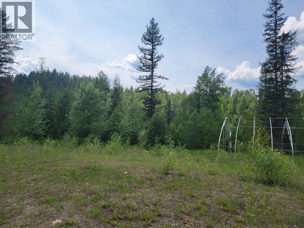 549 Rosebud Lake Road, Salmo, British Columbia  V0G 1Z0 - Photo 23 - 10359946