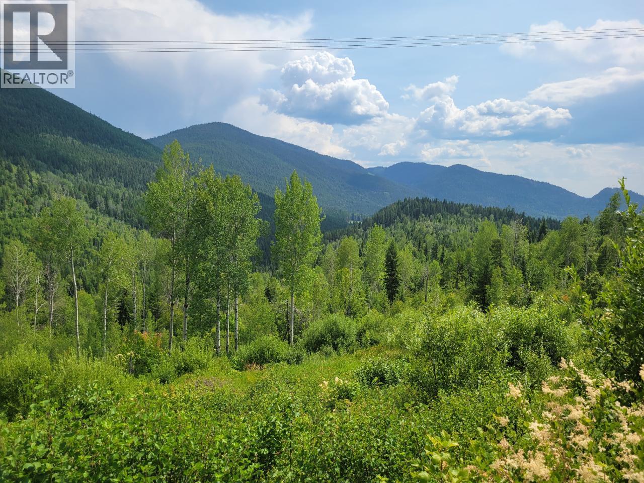 549 Rosebud Lake Road, Salmo, British Columbia  V0G 1Z0 - Photo 25 - 10359946