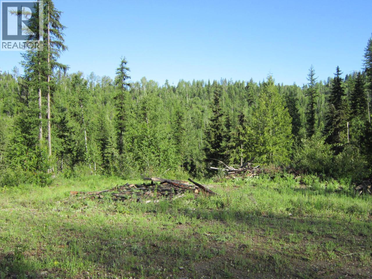 549 Rosebud Lake Road, Salmo, British Columbia  V0G 1Z0 - Photo 3 - 10359946