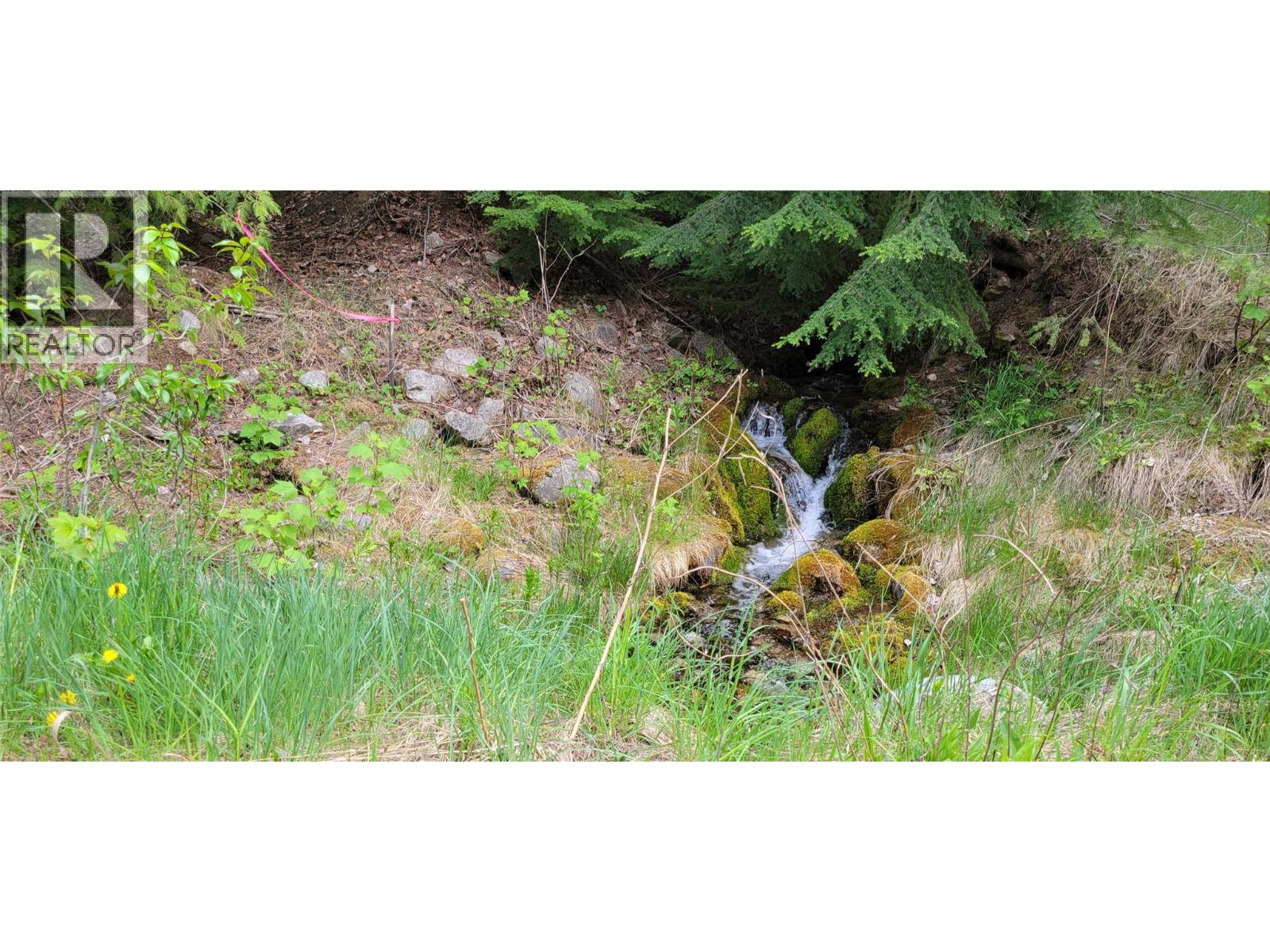 549 Rosebud Lake Road, Salmo, British Columbia  V0G 1Z0 - Photo 31 - 10359946